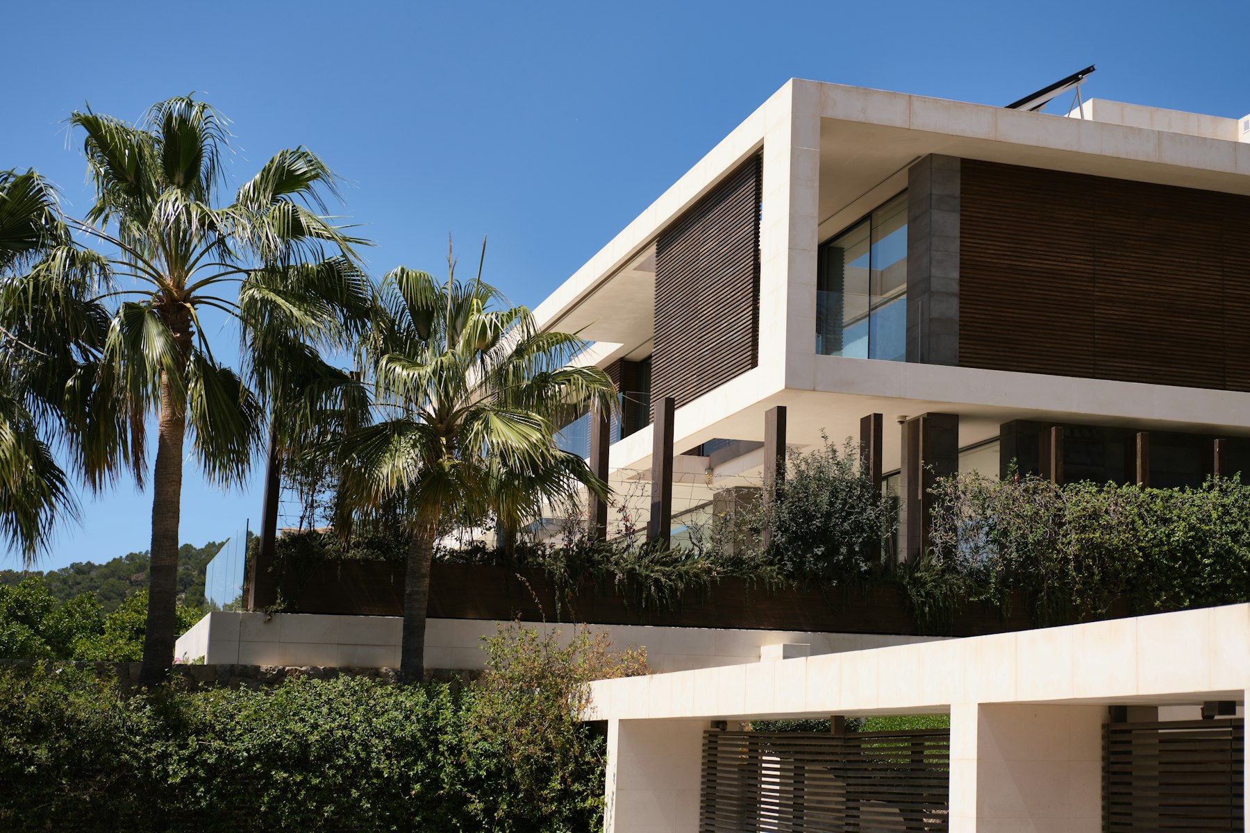 Palmiyelerle çevrili modern villa